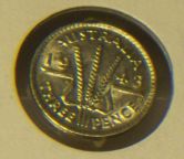 A-Coin's-Life